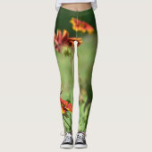 Leggings Gaillardia SunFlowers Fleur sauvage Floral Green (Devant)