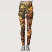 LEGGINGS GLEMENTATION AUTUMNS (Devant)