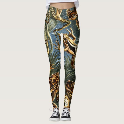 Leggings Grenouilles Batrachia par Ernst Haeckel (Devant)