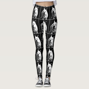 Leggings Guêtres blanches d'art de chien de boxeur