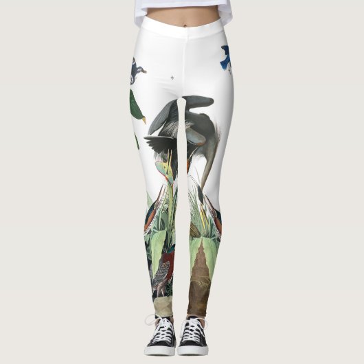 Leggings Guêtres bleues d'oiseau d'oiseau bleu de dingue de (Devant)