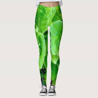 Leggings Guêtres de laitue