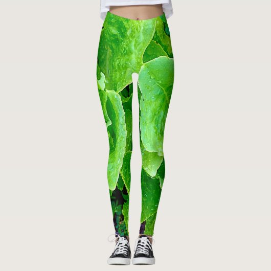 Leggings Guêtres de laitue (Devant)