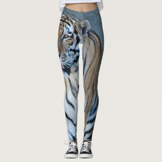 Leggings Guêtres de tigre sibérien