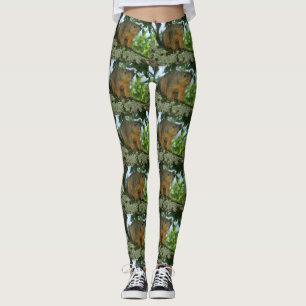 Leggings Guêtres d'écureuil