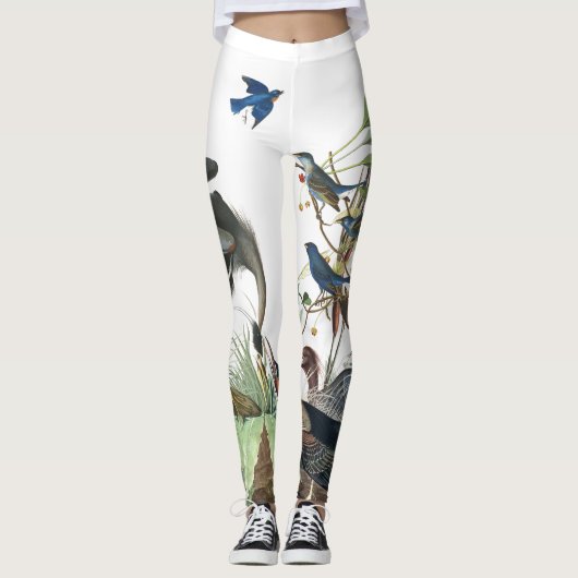 Leggings Guêtres d'impression de faune d'oiseaux d'Audubon (Devant)