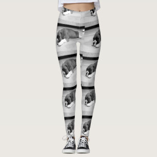 Leggings Guêtres noires et blanches de chien de chiot de
