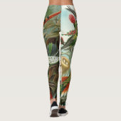 Leggings Hummingbirds par Ernst Haeckel (Dos)