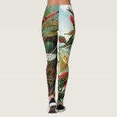 Leggings Hummingbirds par Ernst Haeckel (Dos)