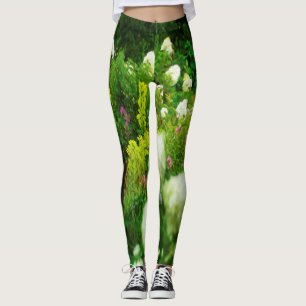 Leggings Hydrangeas Limelight dans mon jardin Rubio