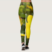 Leggings Hypericum Calcyinum (Dos)