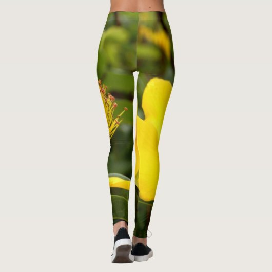 Leggings Hypericum Calcyinum (Dos)