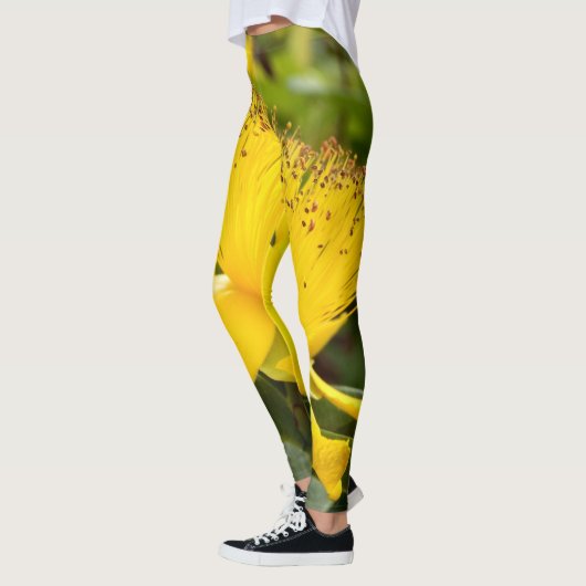 Leggings Hypericum Calcyinum (Gauche)