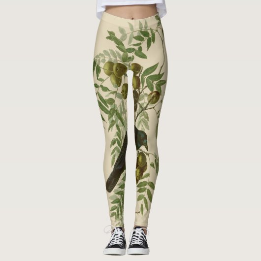 Leggings Impression d'oiseau Grackle violet d'Audubon Botan (Devant)