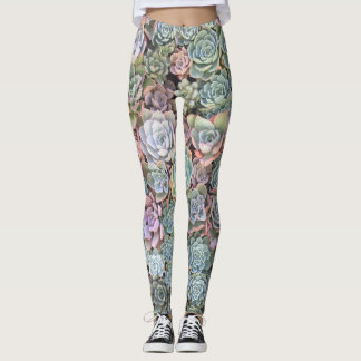 Leggings Jardin Pastel Succulent Echeveria