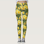 Leggings Jonquilles jaunes de ressort<br><div class="desc">Ces guêtres chics comportent une belle photo des jonquilles jaunes de ressort en pleine floraison.  Addition parfaite à votre garde-robe de ressort ! Conçu par le ©Tim de renommée mondiale Coffey d'artiste.</div>