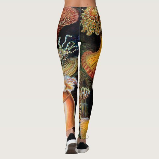 Leggings L'art de la nature par Ernst Haeckel (Dos)