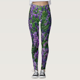 Leggings Lavender Fields