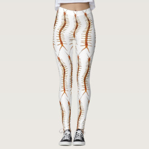 Leggings Légendes de centipède Déplaisantes 