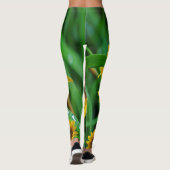 Leggings légumineuses (Dos)