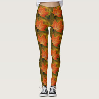 Leggings Légumineuses à feuilles d'automne