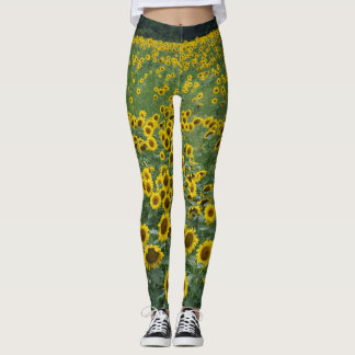 Leggings légumineuses de tournesol
