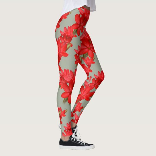 Leggings Lily de Kaffir / Lys de rivière / Hesperantha Cocc (Droite)
