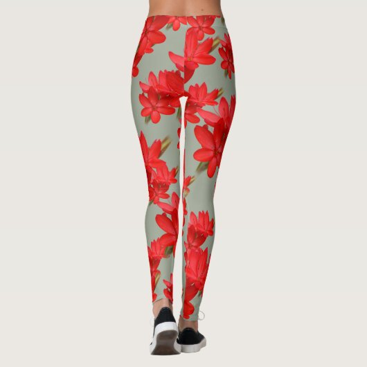 Leggings Lily de Kaffir / Lys de rivière / Hesperantha Cocc (Dos)