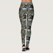 Leggings L'Ours Wild Koala Marche Sur Une Branche D'Arbre, (Dos)