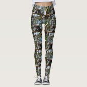 Leggings L'Ours Wild Koala Marche Sur Une Branche D'Arbre, (Devant)