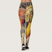 Leggings Marine d'actinies d'Ernst Haeckel : Actiniae (Dos)