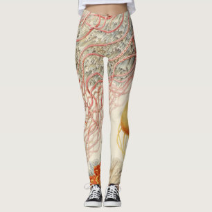 Leggings Méduses - Ernst Haeckel
