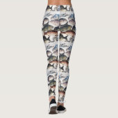 LEGGINGS MOSAÏQUES ROMAINES ANTIQUES, POISSONS, ESPACE DE V (Dos)