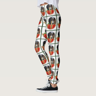 Leggings Noël français Setter