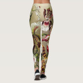 Leggings Orchidées, Orchideae Denusblumen Ernst Haeckel (Dos)
