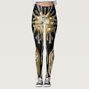 Leggings Oursins Vintage Dollars des Sables par Ernst Haeck
