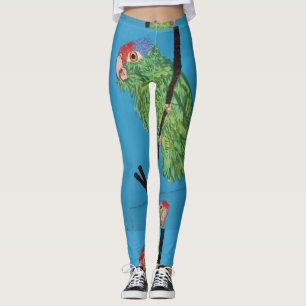 Leggings perroquet vert sauvage bleu