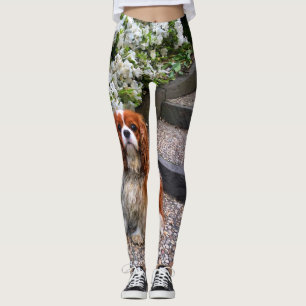 Leggings Pétales cavaliers du Roi Charles White de Blenhei
