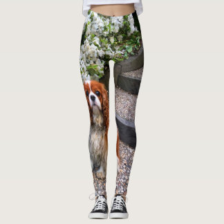 Leggings Pétales cavaliers du Roi Charles White de Blenheim