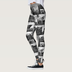 Leggings Photos De Vache Highland En Noir Et Blanc,