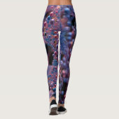 Leggings Proxima (Dos)