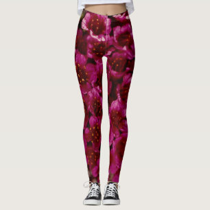Leggings Purple Saxifrage Côte Fleur sauvage de l'Arctique