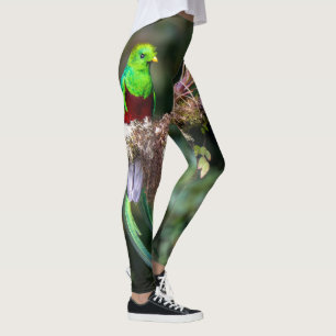 Leggings Quetzal resplendissant dans la forêt nuageuse