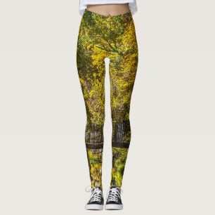 Leggings Reflets début peintre