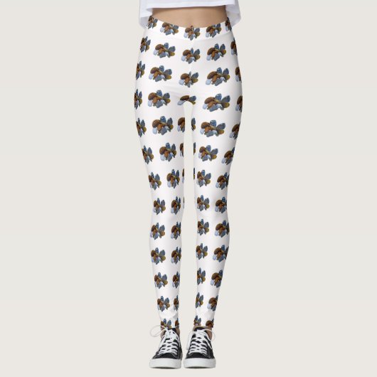 Leggings Roches polies (Devant)