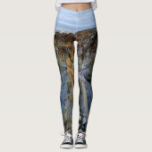 Leggings rocheux (Devant)