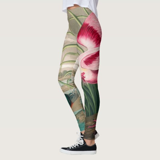 Leggings Spoonbill sur le roseate par John James Audubon (Gauche)