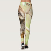 LEGGINGS TRANQUIL KOALA (Dos)