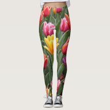 Tulipes néerlandaises