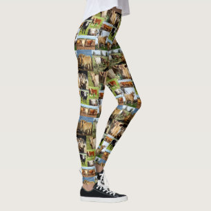Leggings Vaches Dans Un Collage Photo,